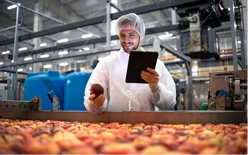 Smarter Food Sorting with Vision-Powered Precision