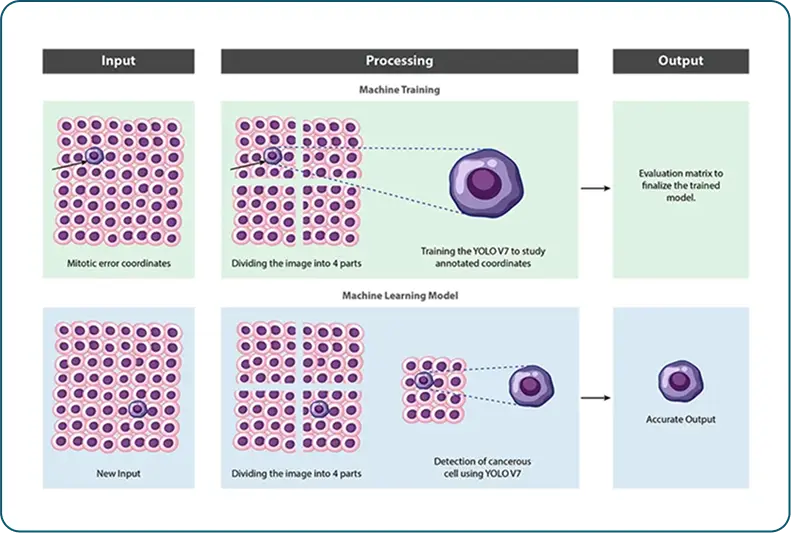 Cancer Cell Detection Using Computer Vision