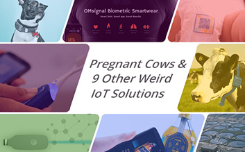 IoT