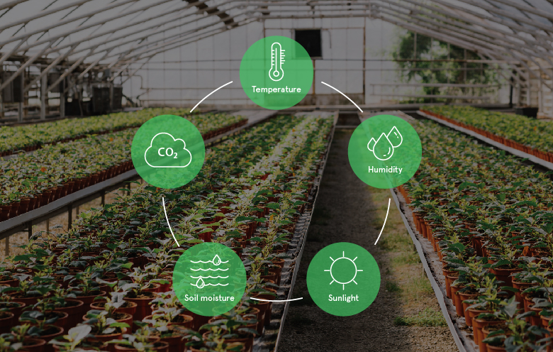 Provide better yields for your crop with Smart greenhouse monitoring solution