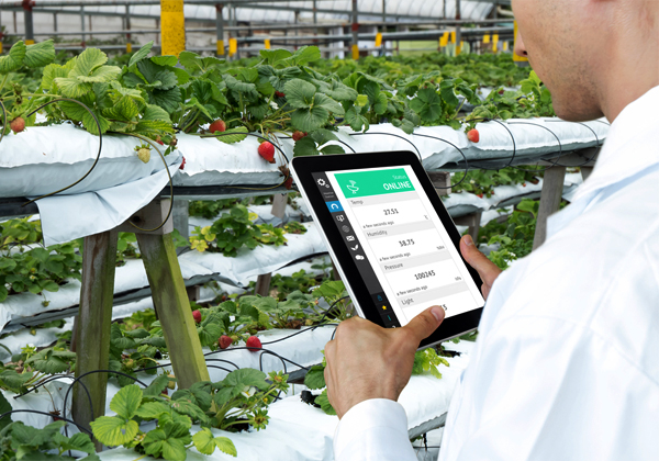 Precision Agriculture