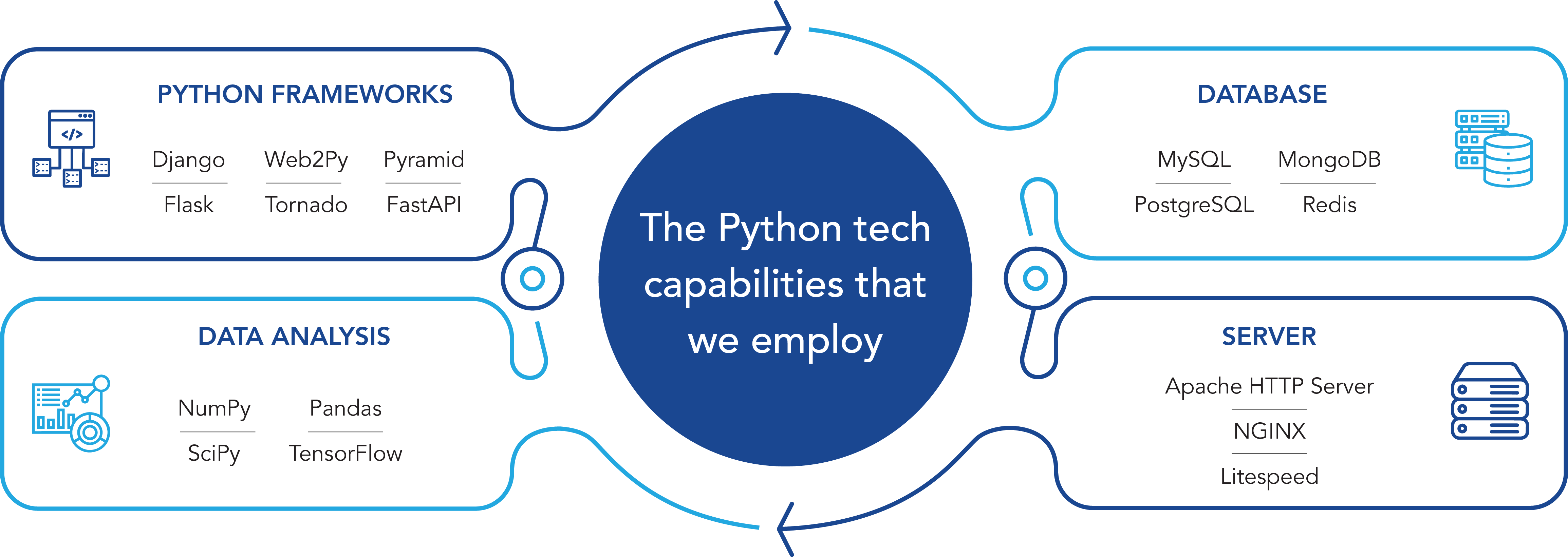 Why choose Python development services?