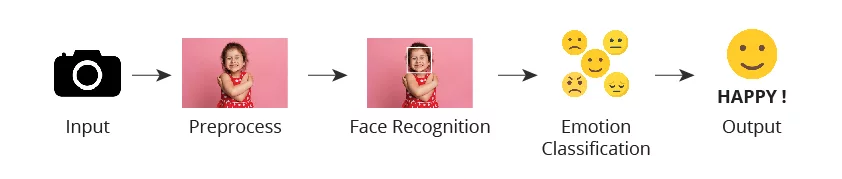 Face emotion recognition