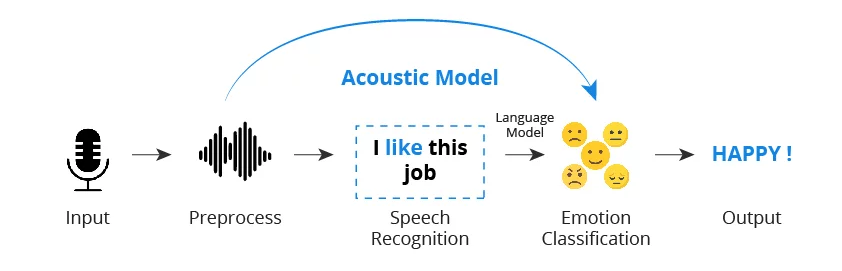 Voice emotion recognition