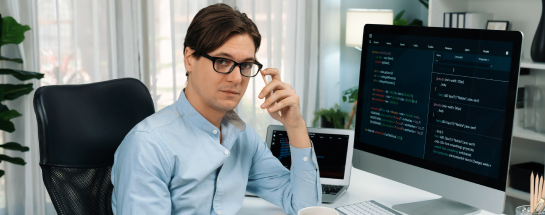 netdeveloper-2