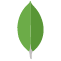 mongodb1